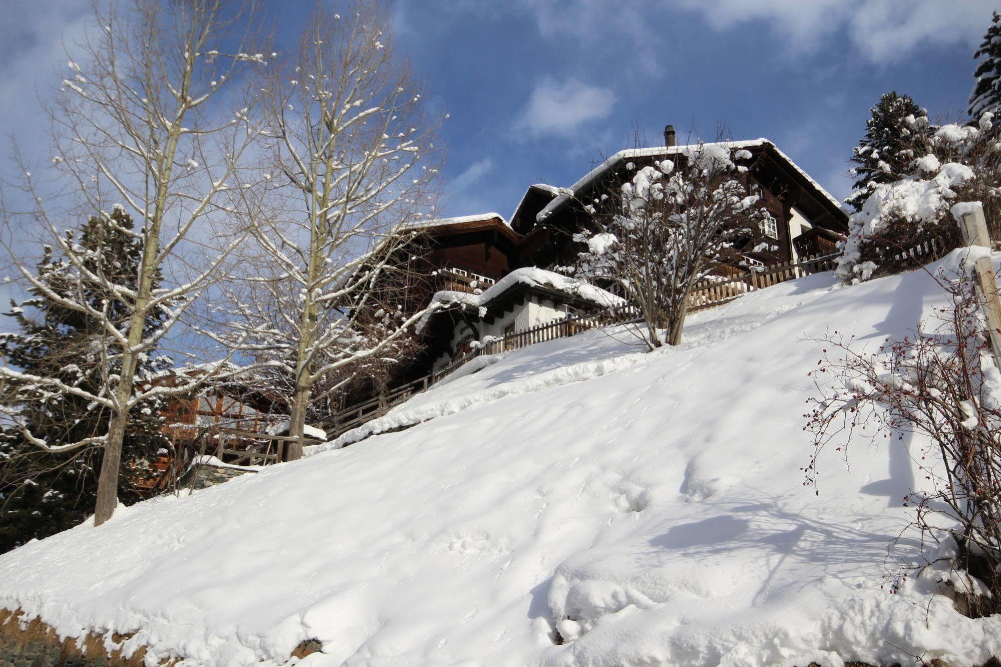 Welschen Hotel Zermatt Exteriör bild